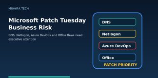 Microsoft Patch Tuesday business risk graphic showing DNS Netlogon Azure DevOps and Office patch priorities